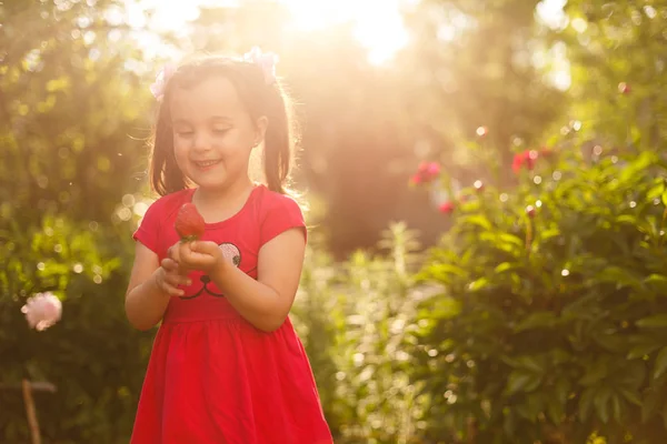一个拿着满手野草莓的小女孩 — 图库照片