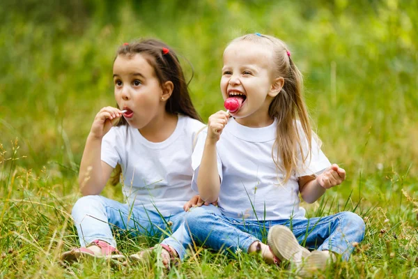 Дві Милі Маленькі Сестри Їдять Льодяники Сидячи Зеленому Літньому Парку — стокове фото