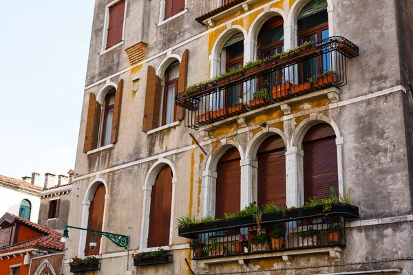 Fachada Edificio Con Ventanas Persianas Plantas Flores Venecia Italia — Foto de Stock