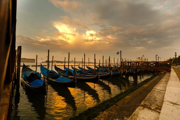 Gondolas Din Veneția Lumina Dimineții Italia — Fotografie de stoc gratuită