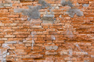 Arka plan kabuklu deniz hayvanları eski turuncu tuğla duvar