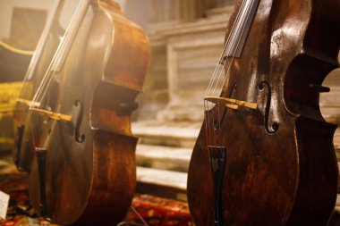 Çello Orkestrası müzik aletleri portre siyah