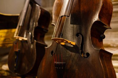 Orkestra portre siyah keman müzik aletleri