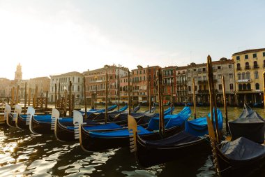 Sabah ışığında Venedik Gondolları. İtalya.