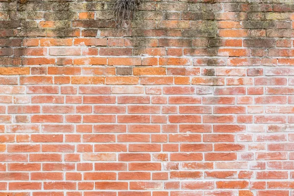 Background Brick Wall Texture — Stock Photo, Image