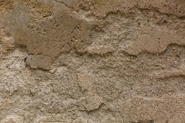 Grunge tarzında gri tonlarda soyut arkaplan, kabuklu deniz hayvanlarının duvar dokusu