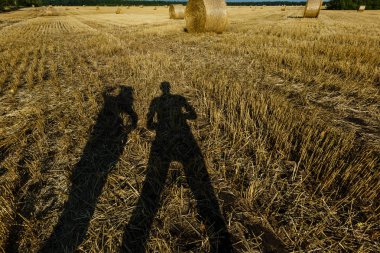 Gölgeler insan. Gökyüzü ile tarım alanı. Çiftlik arazi kırsal doğada. Saman çayır üzerinde. Yaz aylarında buğday sarı altın hasat.