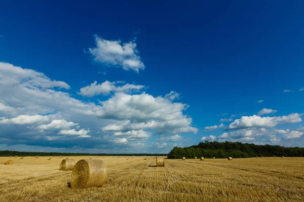 Stacks Wheat Straw Harvesting Agricultural Field Rolls Haystacks — Stock Photo, Image