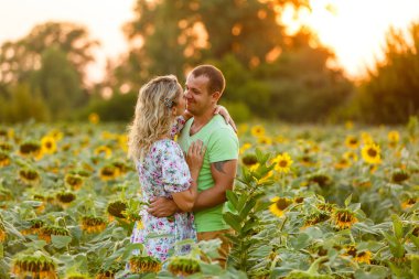 Ayçiçeği alanında günbatımında sarılma güzel genç çift 