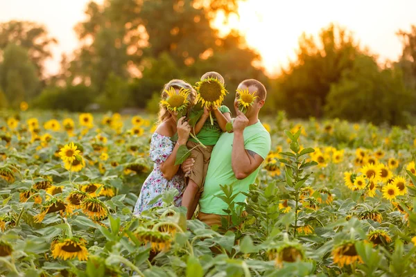 Giovane Famiglia Con Piccolo Figlio Che Diverte Nel Campo Girasole — Foto Stock