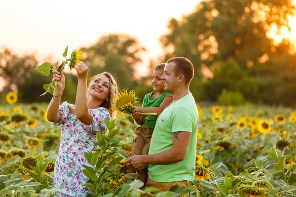 Bella Coppia Tenendo Piccolo Figlio Posa Nel Campo Girasole — Foto Stock