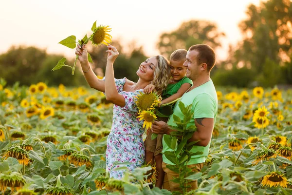 Bella Coppia Tenendo Piccolo Figlio Posa Nel Campo Girasole — Foto Stock