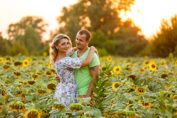 Bella Giovane Coppia Che Abbraccia Nel Campo Girasole Tramonto — Foto Stock