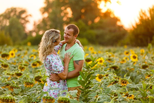 Adorável Jovem Casal Abraçando Campo Girassol Pôr Sol — Fotografia de Stock