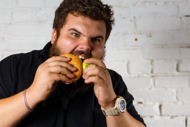 hamburger, beyaz zemin üzerine iştahla yiyen şişko adam