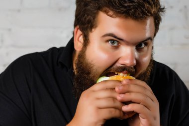 hamburger, beyaz zemin üzerine iştahla yiyen şişko adam