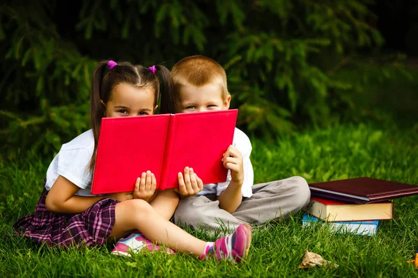 Twee Kinderen Lezingsboeken Zittend Groen Gras Park — Stockfoto