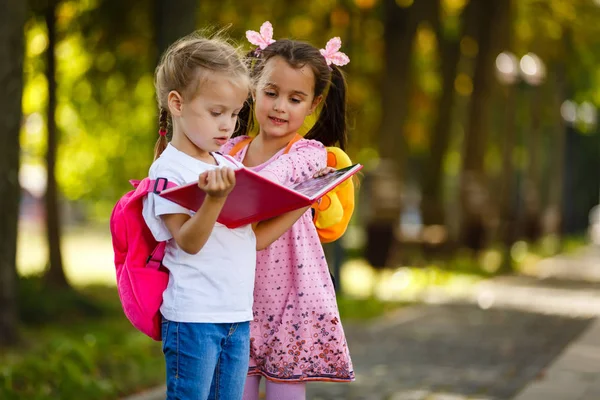 Zwei Schöne Kleine Mädchen Lesen Buch Stehen Park — Stockfoto