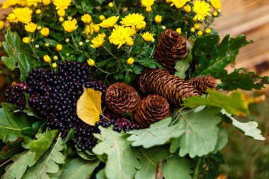 çam kozalakları ufuk renkli arka plan üzerinde