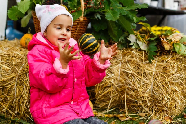 Adorabil Fetiță Joc Dovleci Parc Toamnă — Fotografie, imagine de stoc