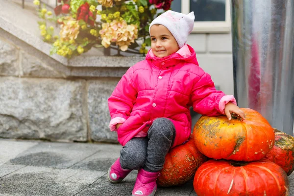 Adorable Niña Divirtiéndose Parche Calabaza Hermoso Día Otoño Aire Libre — Foto de Stock