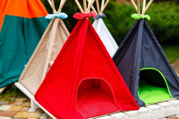 Wigwams Multicolores Pour Chiens — Photo