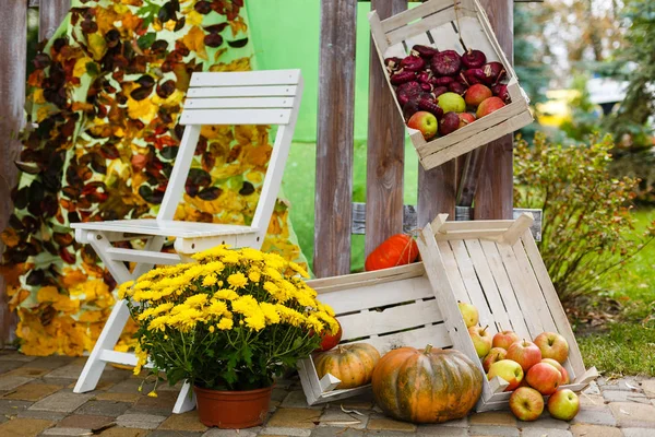 Autumn Flowers Fruits Big Composition — Stock Photo, Image