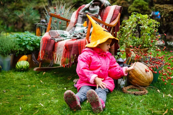 Маленька Дівчинка Капелюсі Хелловін Грає Гарбузами Осінньому Парку — стокове фото