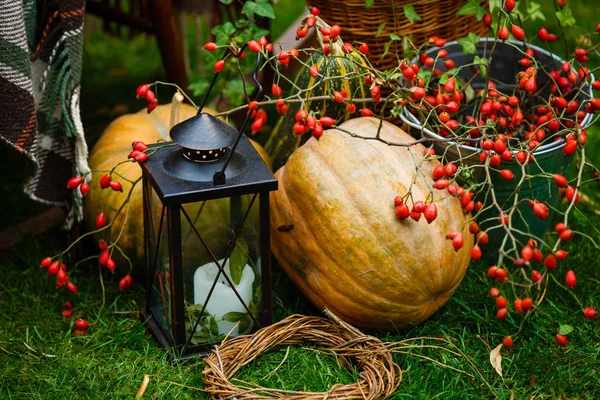 Autumn Composition Pumpkins Lantern — Stock Photo, Image