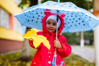 Sevimli küçük kız sarı sonbahar yaprak ve şemsiye tutan