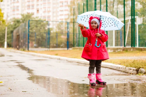 秋の黄葉と傘を保持しているかわいい女の子 — ストック写真