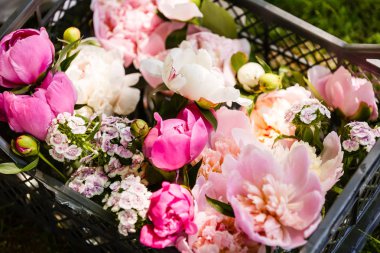 güzel soluk pembe şakayık ile çiçek kompozisyonu 