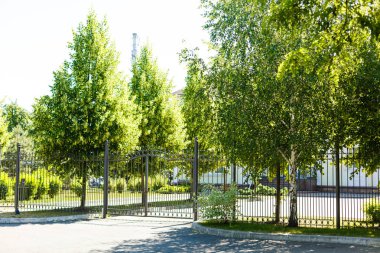 Demir çitin arkasındaki ağaçlar