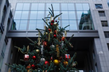 Şehir binasının önündeki güzel süslü Noel ağacı.