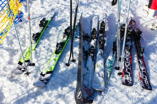 Kayak Ekipmanları Kapatın — Stok fotoğraf