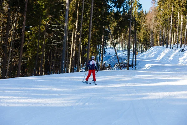 Karpaterna Bukovel Ukraina Januari 2017 Skidort Bergen — Stockfoto