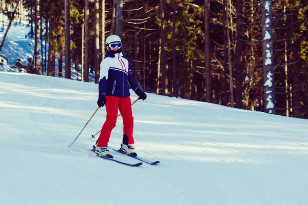 女孩在森林里滑雪 — 图库照片
