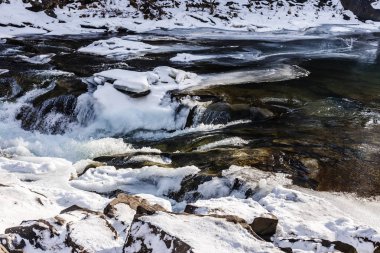 Donmuş ormanda vahşi rocky Nehri'nin doğal görünümü
