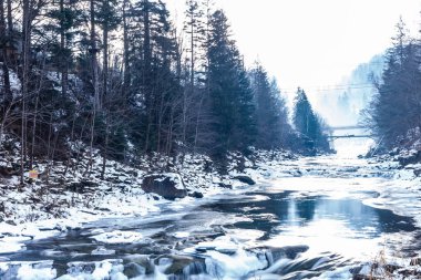Donmuş ormanda vahşi rocky Nehri'nin doğal görünümü