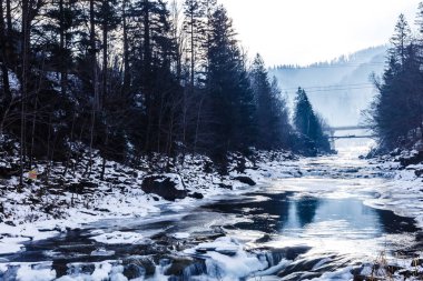 Donmuş ormanda vahşi rocky Nehri'nin doğal görünümü