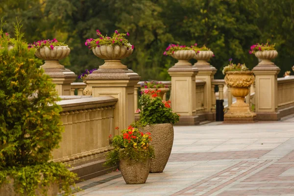 Flowers in flower pots in the garden