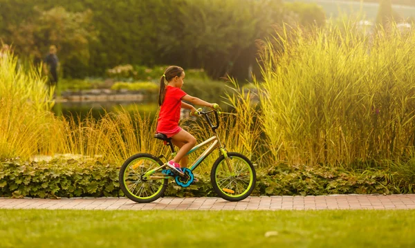Niña Montando Bicicleta Verde Parque Verano — Foto de Stock