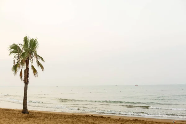 Mooi Tropisch Strand Met Palmbomen Zee — Stockfoto
