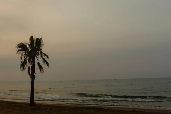 美丽的热带海滩 有棕榈树 — 图库照片