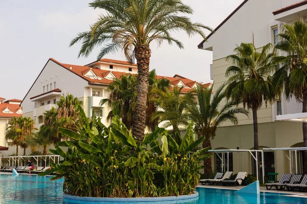 Zwembad Met Palmbomen Achtergrond — Stockfoto