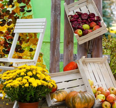 Park dekor, sonbahar, kabak