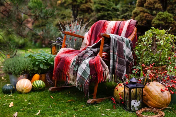 Dekoration Einer Hochzeit Mit Herbstkürbis Nahaufnahme Freien — Stockfoto