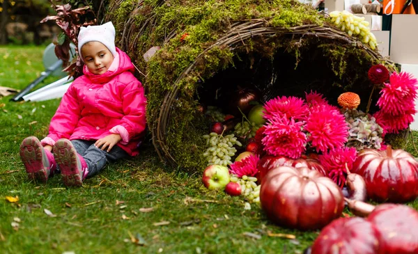 Маленька Усміхнена Дівчинка Рожевому Пальто Біля Стовбурів Сіна Селі — стокове фото