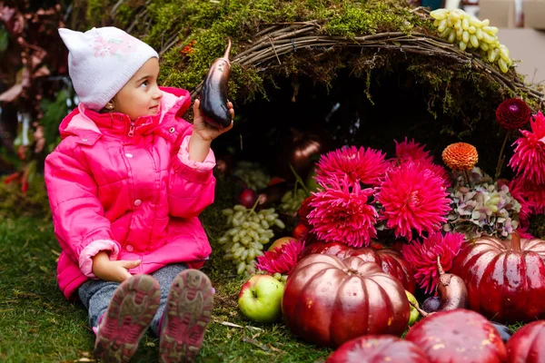 Чарівна Маленька Дівчинка Розважається Гарбузовій Плямі Красивий Осінній День Відкритому — стокове фото