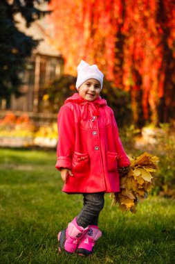 Kırmızı ceketli ile sonbahar turuncu oynayan sevimli küçük kız parkta bırakır 